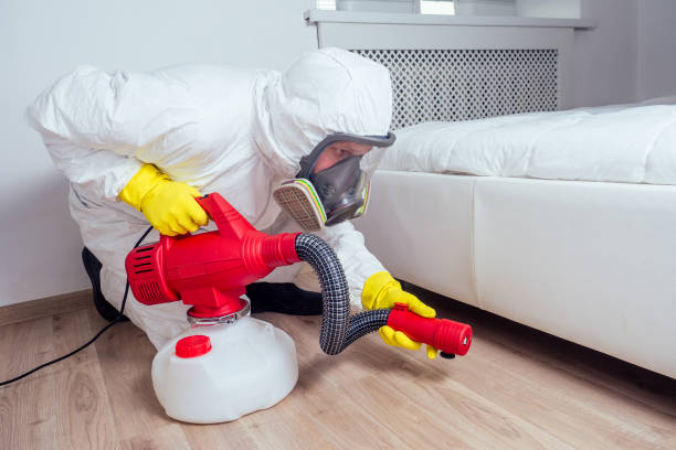 Best Residential Pest Control  in Dland, MI